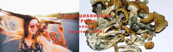спиды Алексеевка