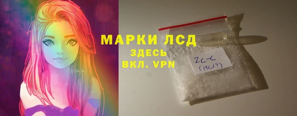 СК Алексин