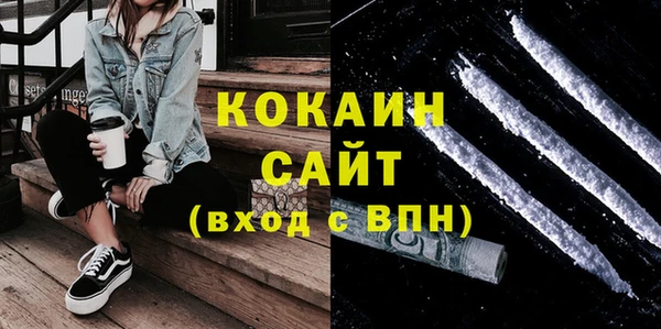 СК Алексин