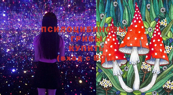 прущая мука Алзамай
