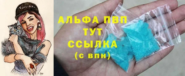 СК Алексин