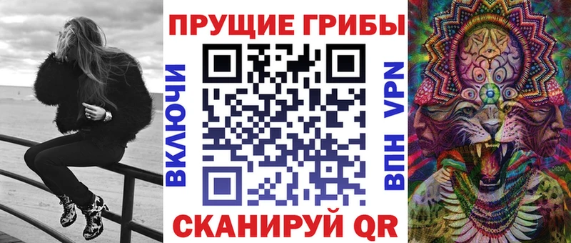 хочу   Чайковский  Псилоцибиновые грибы Cubensis 