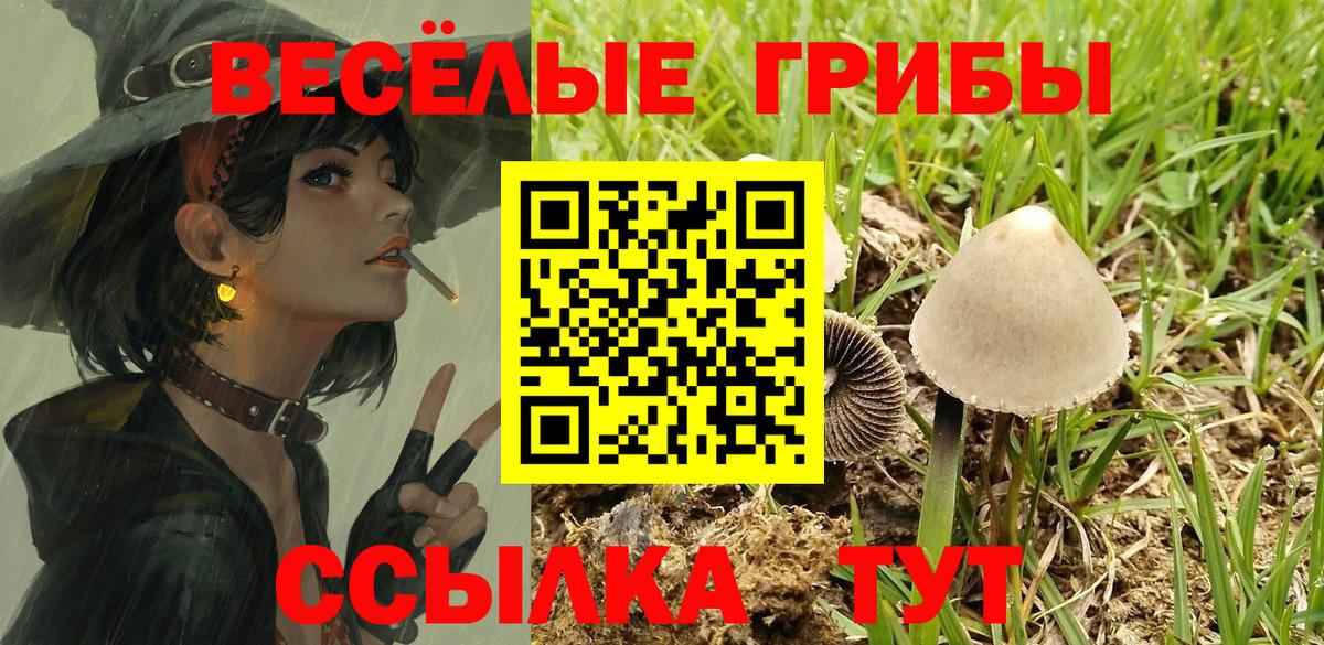 Псилоцибиновые грибы прущие грибы  Вход с VPN  Псилоцибиновые грибы Psilocybe  Чайковский 
