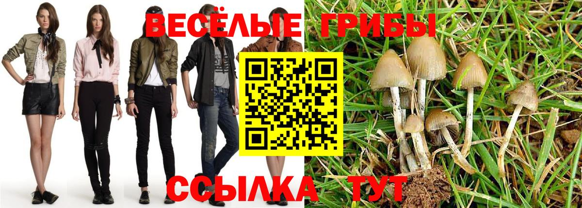 Галлюциногенные грибы мухоморы Чайковский